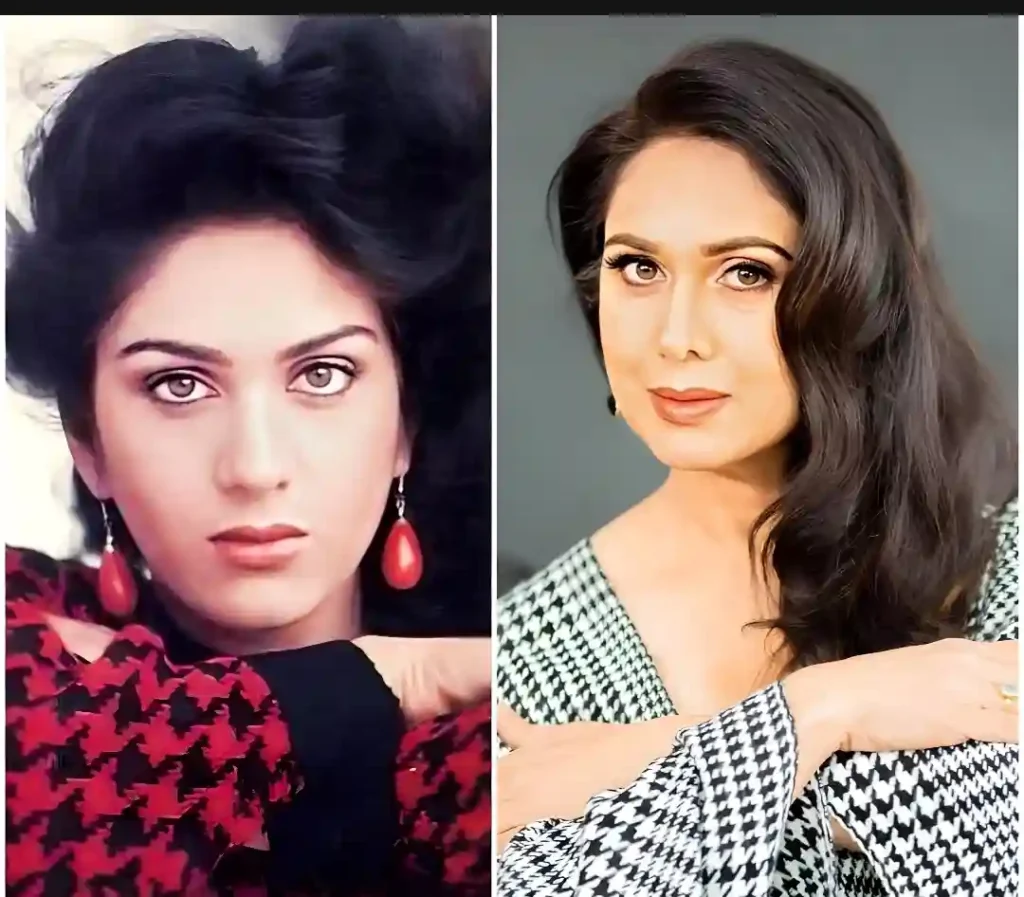 Meenakshi Seshadri's Comeback Dance Video