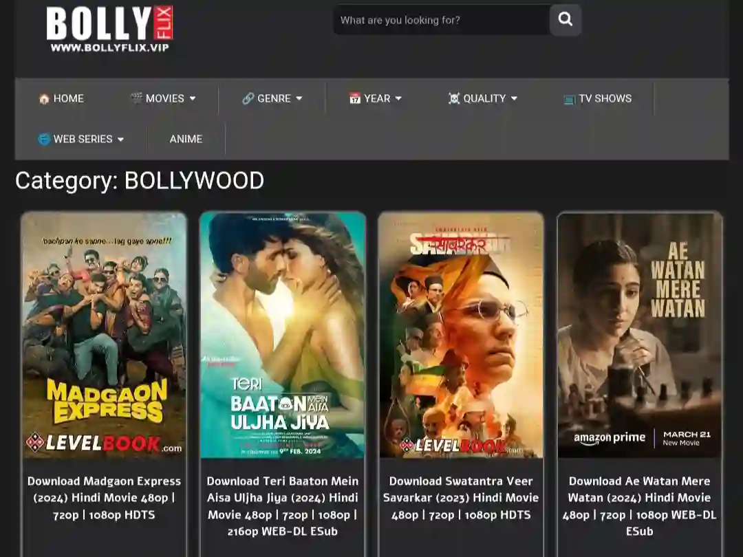 Bollyflix 2024 movies Category 